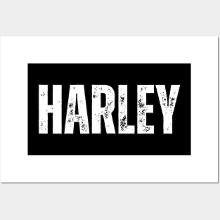 Harley Name Gift Birthday Holiday Anniversary Posters and Art